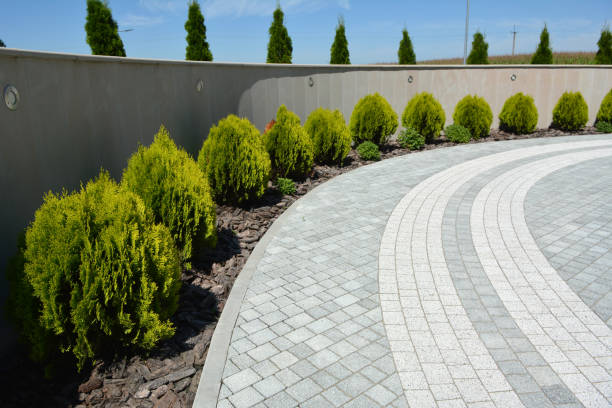 Professional Driveway Pavers in Venus, TX